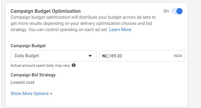 campaign budget when running Facebook ads